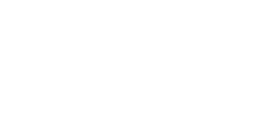 PETIEN logo